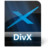 DivX File Icon